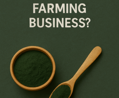 How to invest in SPirulina Farming Business