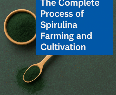 Process of Spirulina Farming and Cultivation