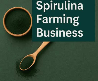 Spirulina Farming Business